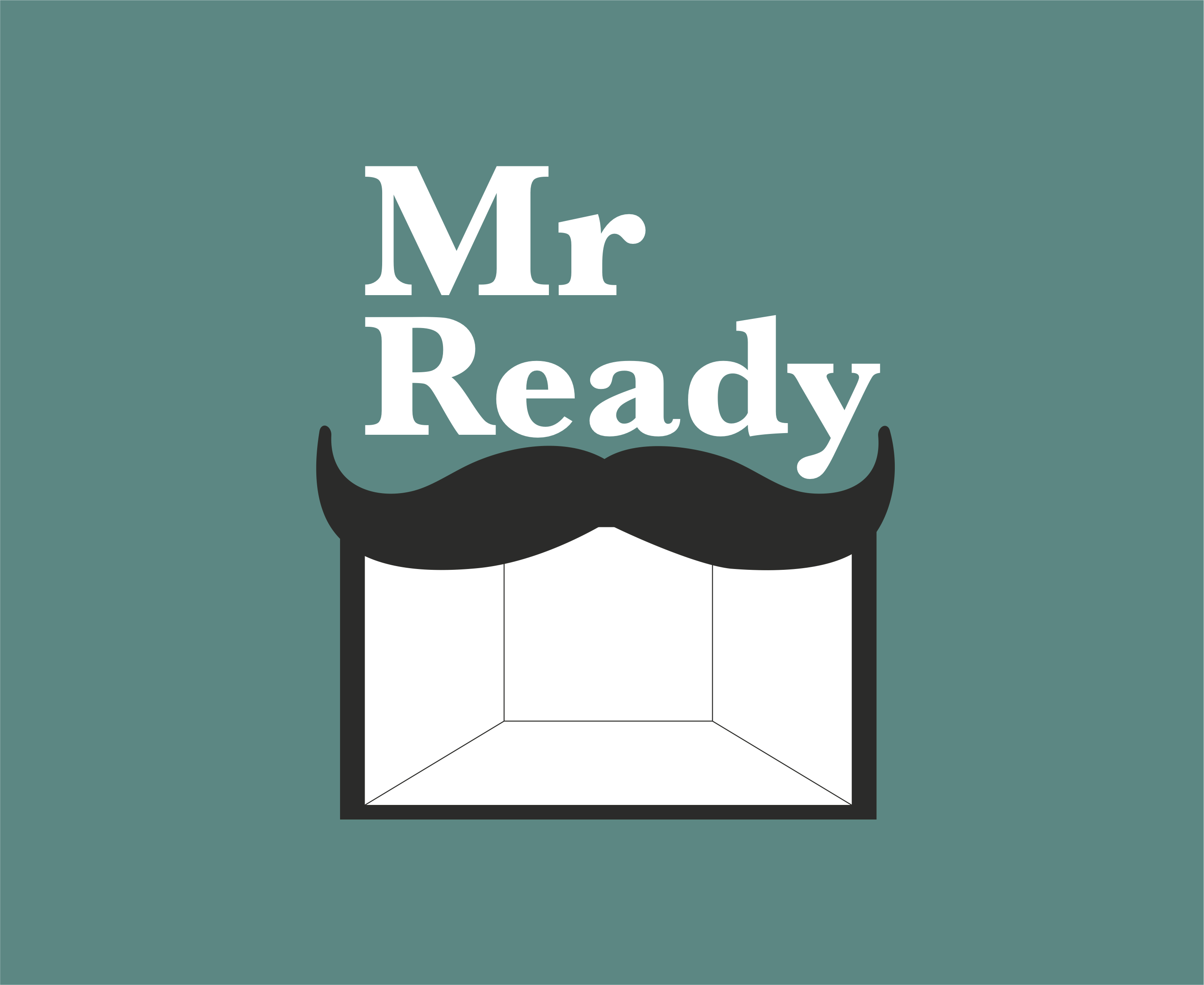 Mr Ready